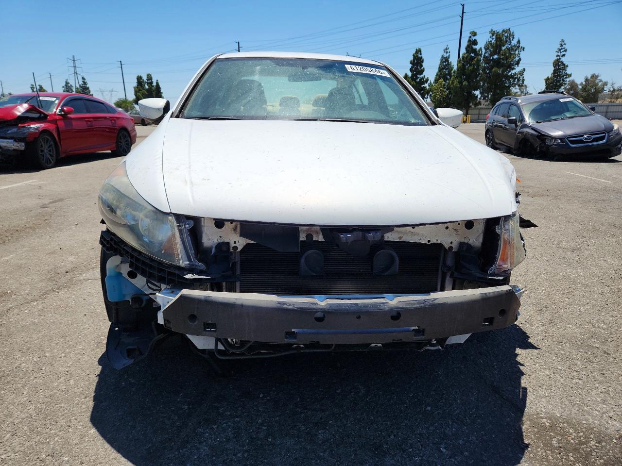 2012 Honda Accord Lx Белый vin: 1HGCP2F33CA089231