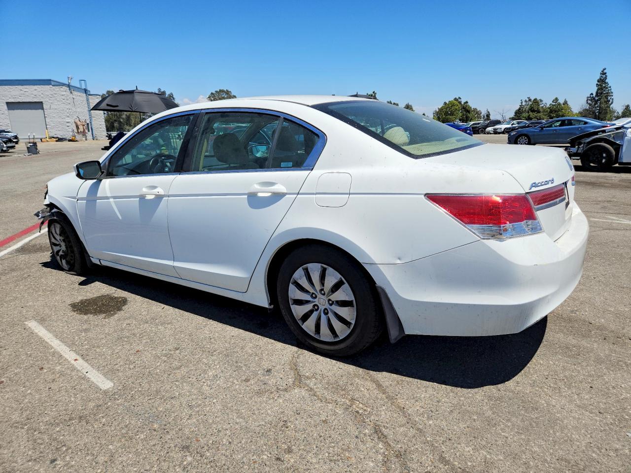 2012 Honda Accord Lx Белый vin: 1HGCP2F33CA089231