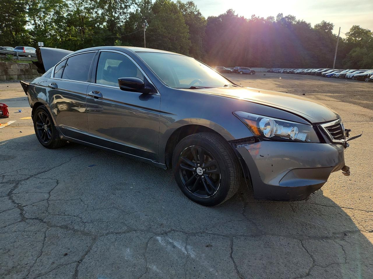 2010 Honda Accord Gray vin: 1HGCP2F34AA137784