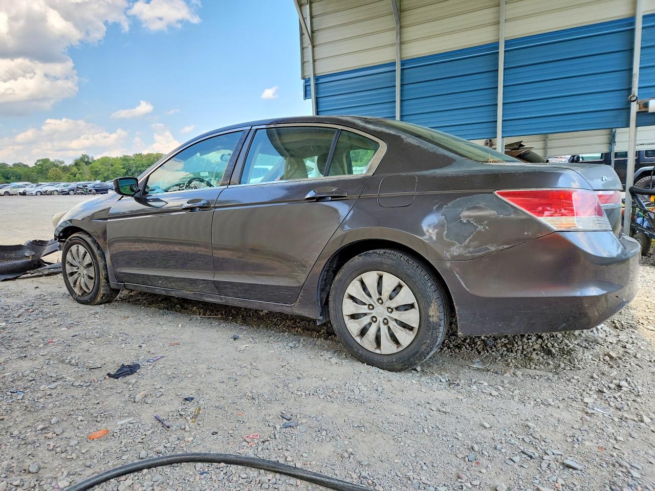 2011 Honda Accord Lx Black vin: 1HGCP2F34BA069147