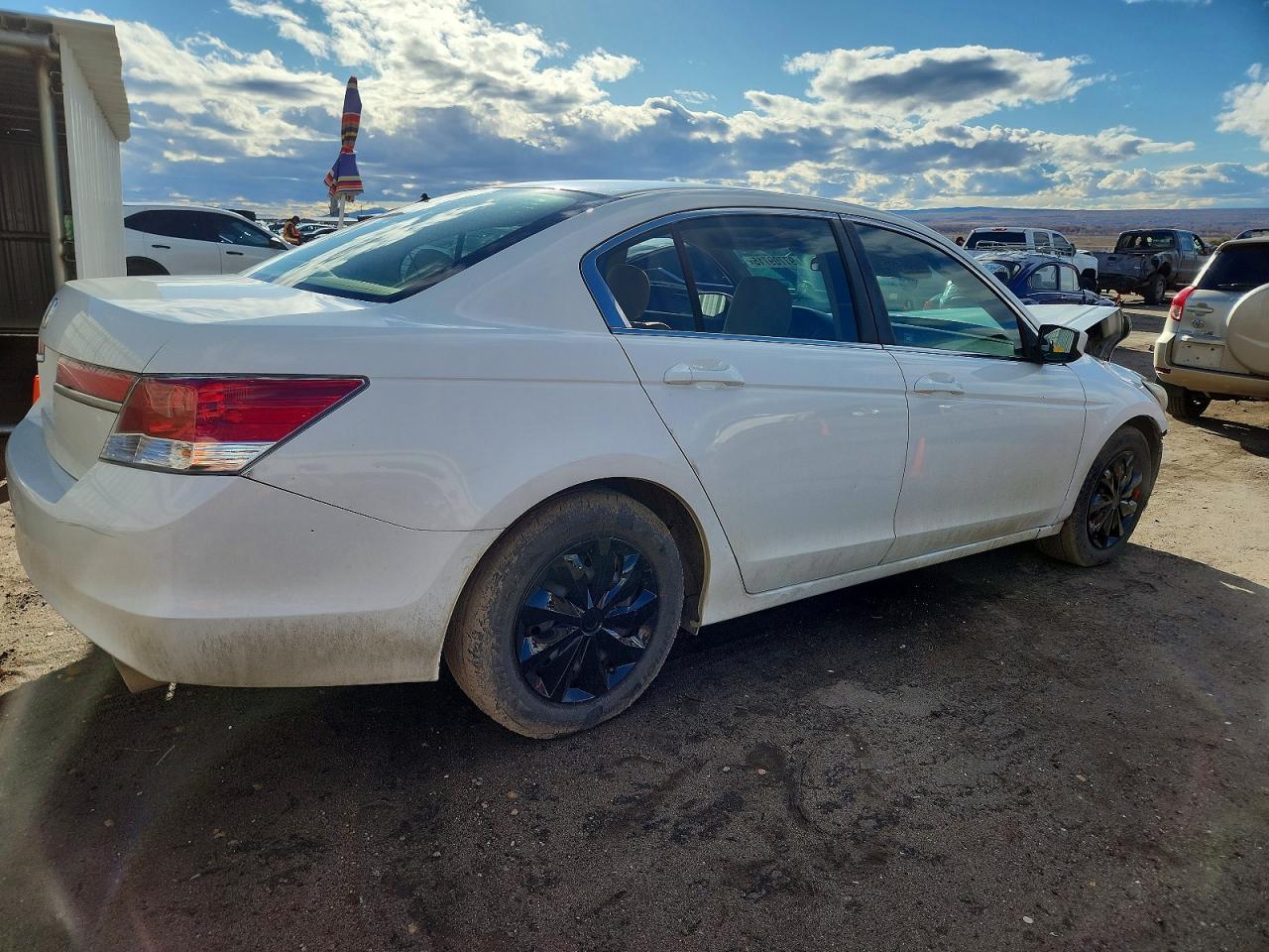 2011 Honda Accord Lx White vin: 1HGCP2F35BA091643