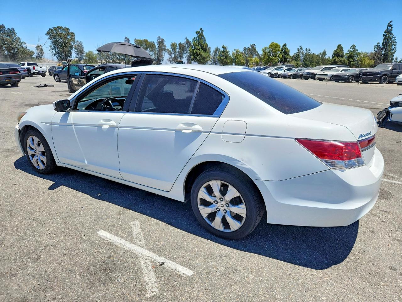 2012 Honda Accord Lx White vin: 1HGCP2F35CA149882