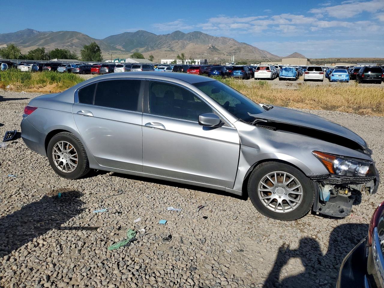 2010 Honda Accord Lx Silver vin: 1HGCP2F36AA033586