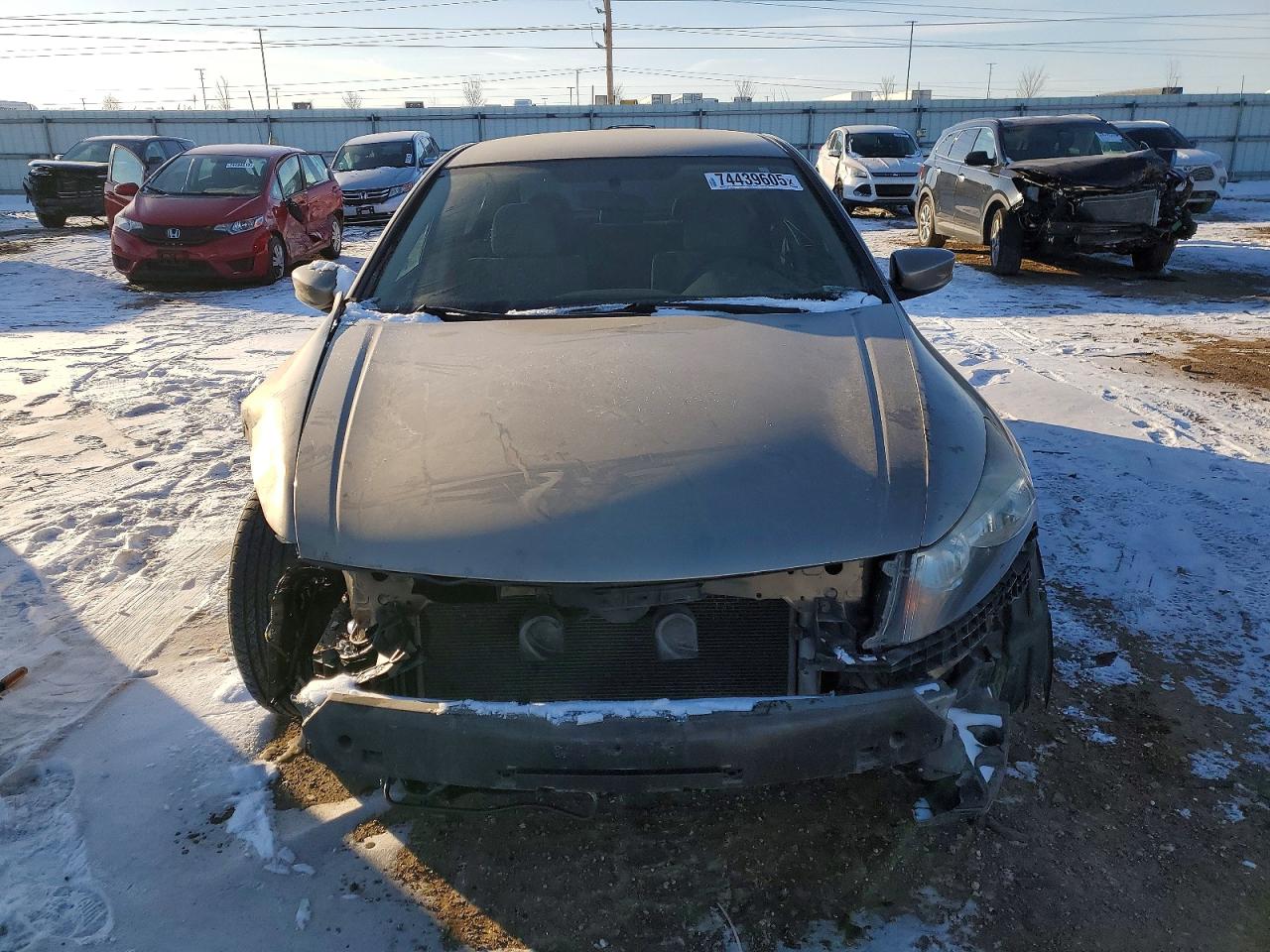 2010 Honda Accord Lx Желто-коричневый vin: 1HGCP2F36AA153436