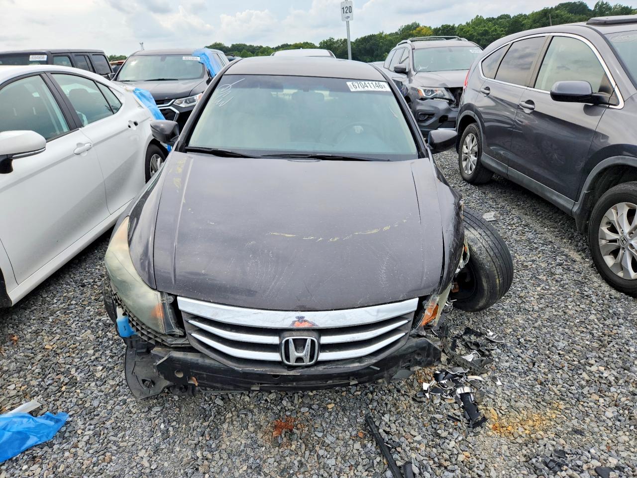 2011 Honda Accord Lx Black vin: 1HGCP2F36BA037252