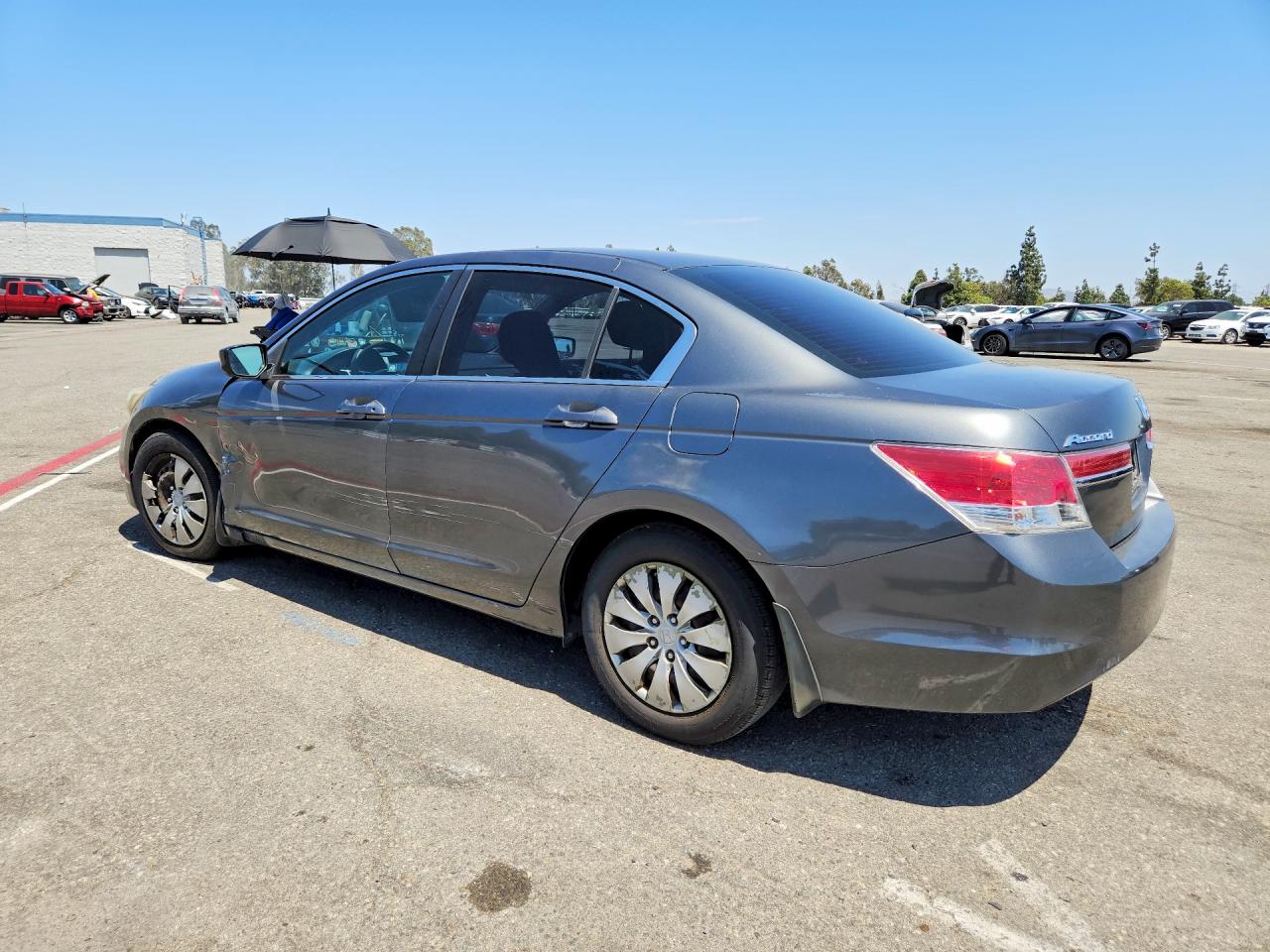 2011 Honda Accord Lx Gray vin: 1HGCP2F36BA147816