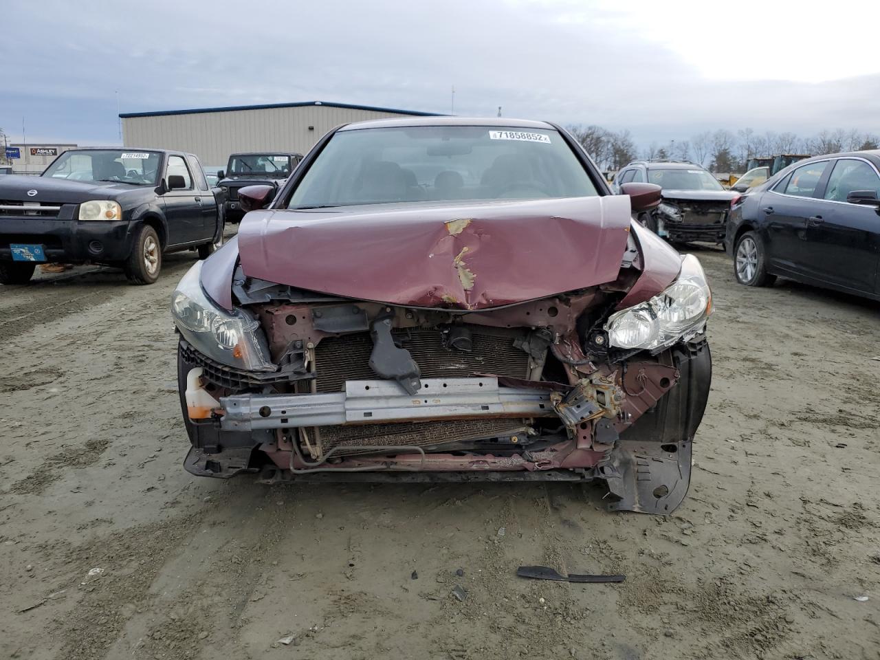2010 Honda Accord Lx Maroon vin: 1HGCP2F37AA149735