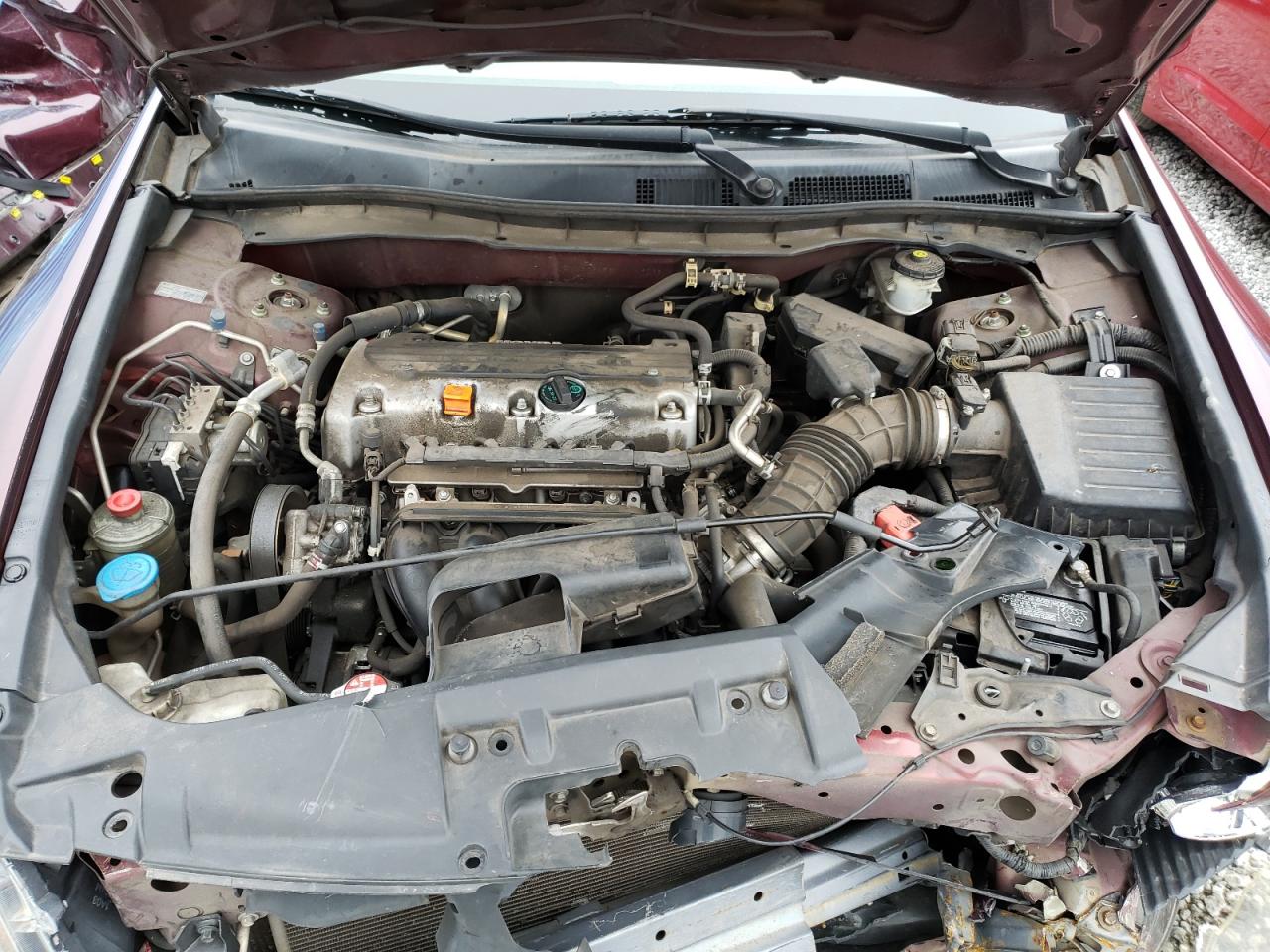 2010 Honda Accord Lx Maroon vin: 1HGCP2F37AA149735