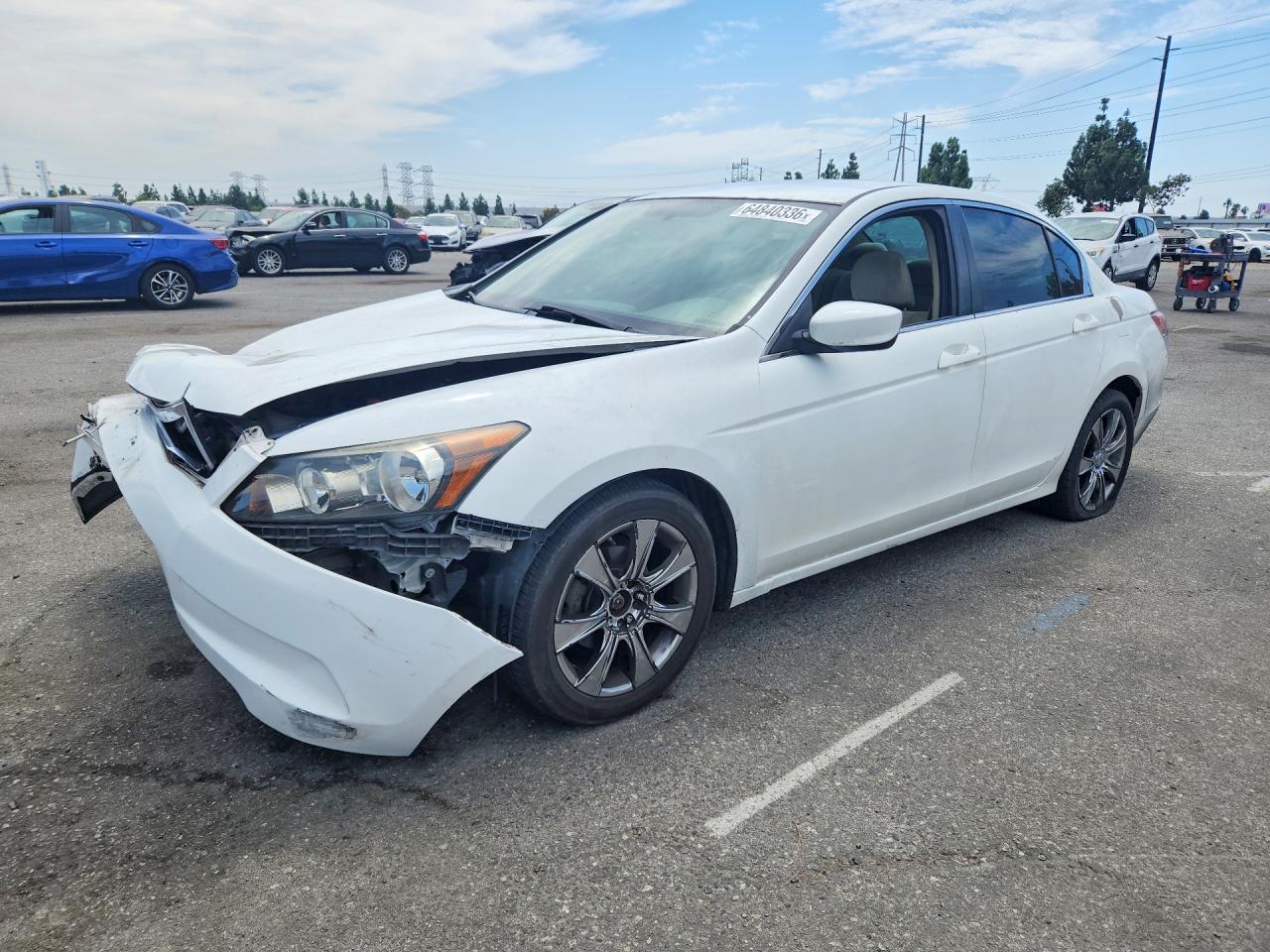 2010 Honda Accord Lx White vin: 1HGCP2F37AA170083