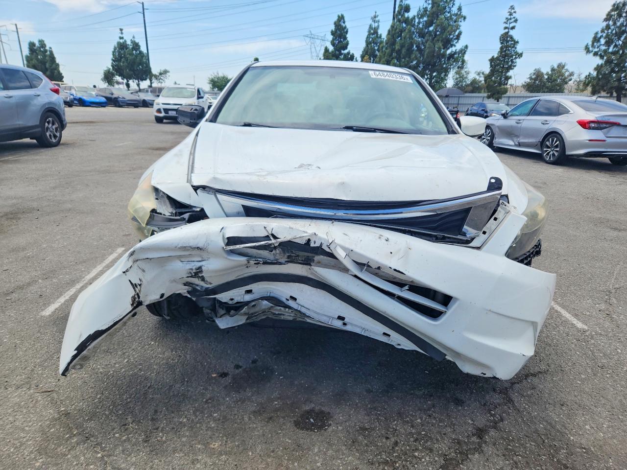 2010 Honda Accord Lx White vin: 1HGCP2F37AA170083