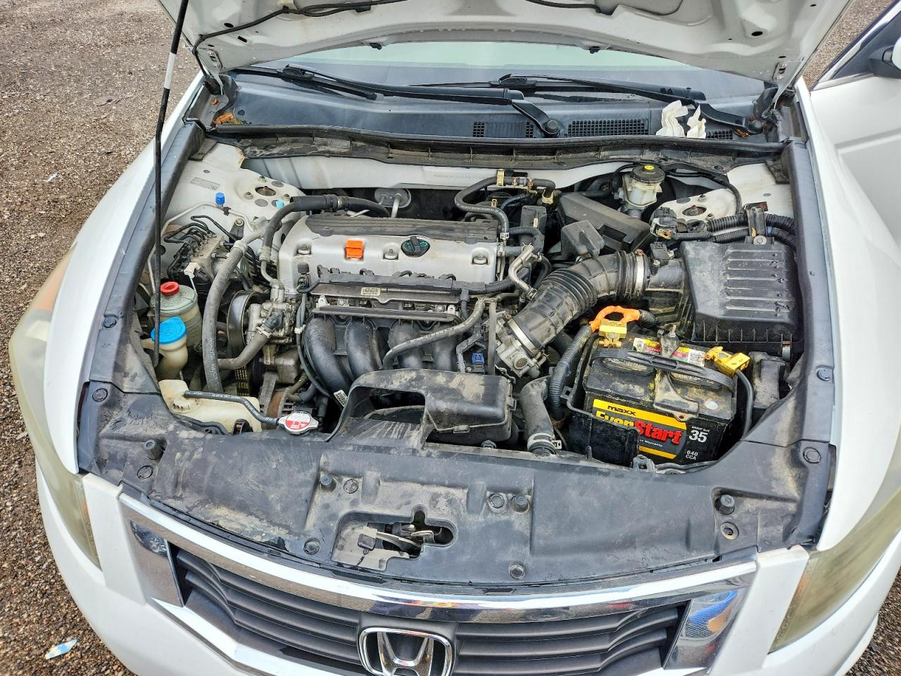 2010 Honda Accord Lx White vin: 1HGCP2F37AA171539