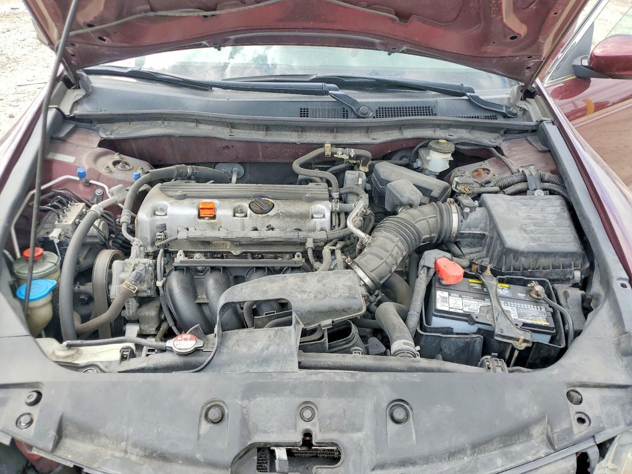 2011 Honda Accord Lx Maroon vin: 1HGCP2F37BA084130