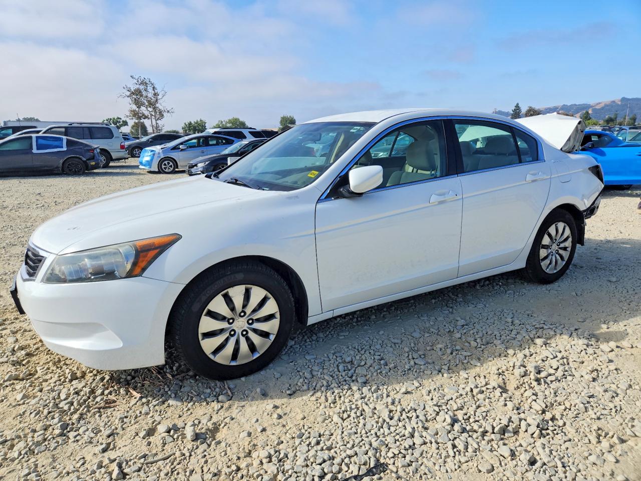 2010 Honda Accord Lx Белый vin: 1HGCP2F38AA087729