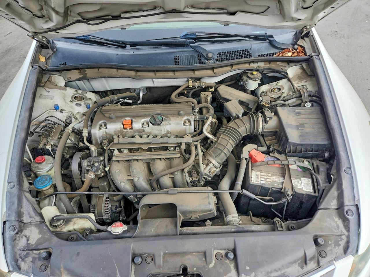 2010 Honda Accord Lx Белый vin: 1HGCP2F38AA087729