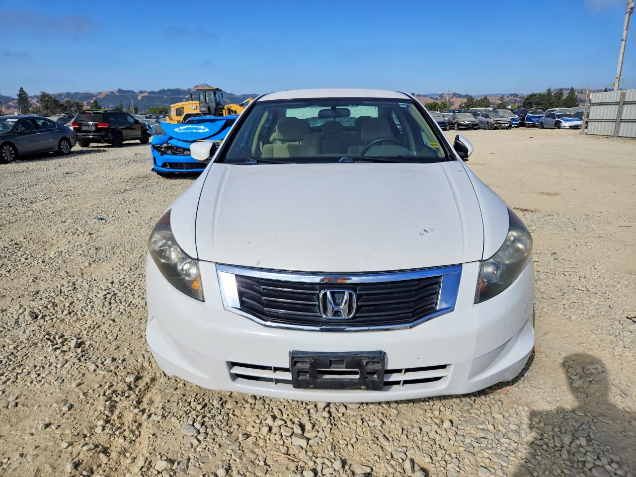 2010 Honda Accord Lx Белый vin: 1HGCP2F38AA087729