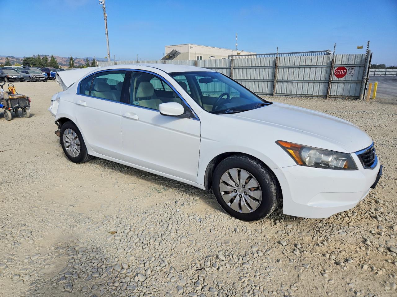 2010 Honda Accord Lx Белый vin: 1HGCP2F38AA087729