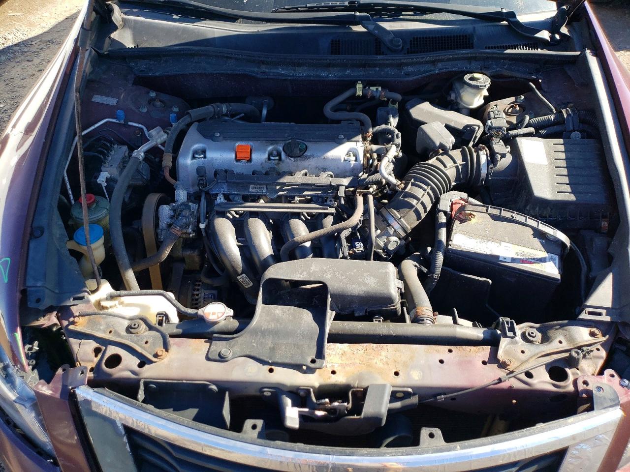 2010 Honda Accord Lx Red vin: 1HGCP2F38AA095989
