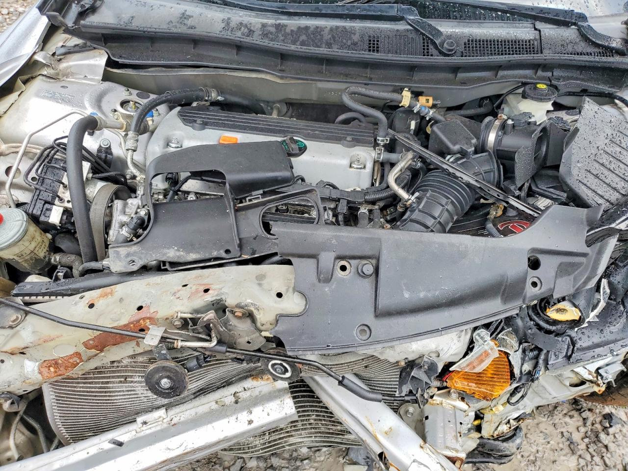 2010 Honda Accord Lx Серебряный vin: 1HGCP2F38AA100463