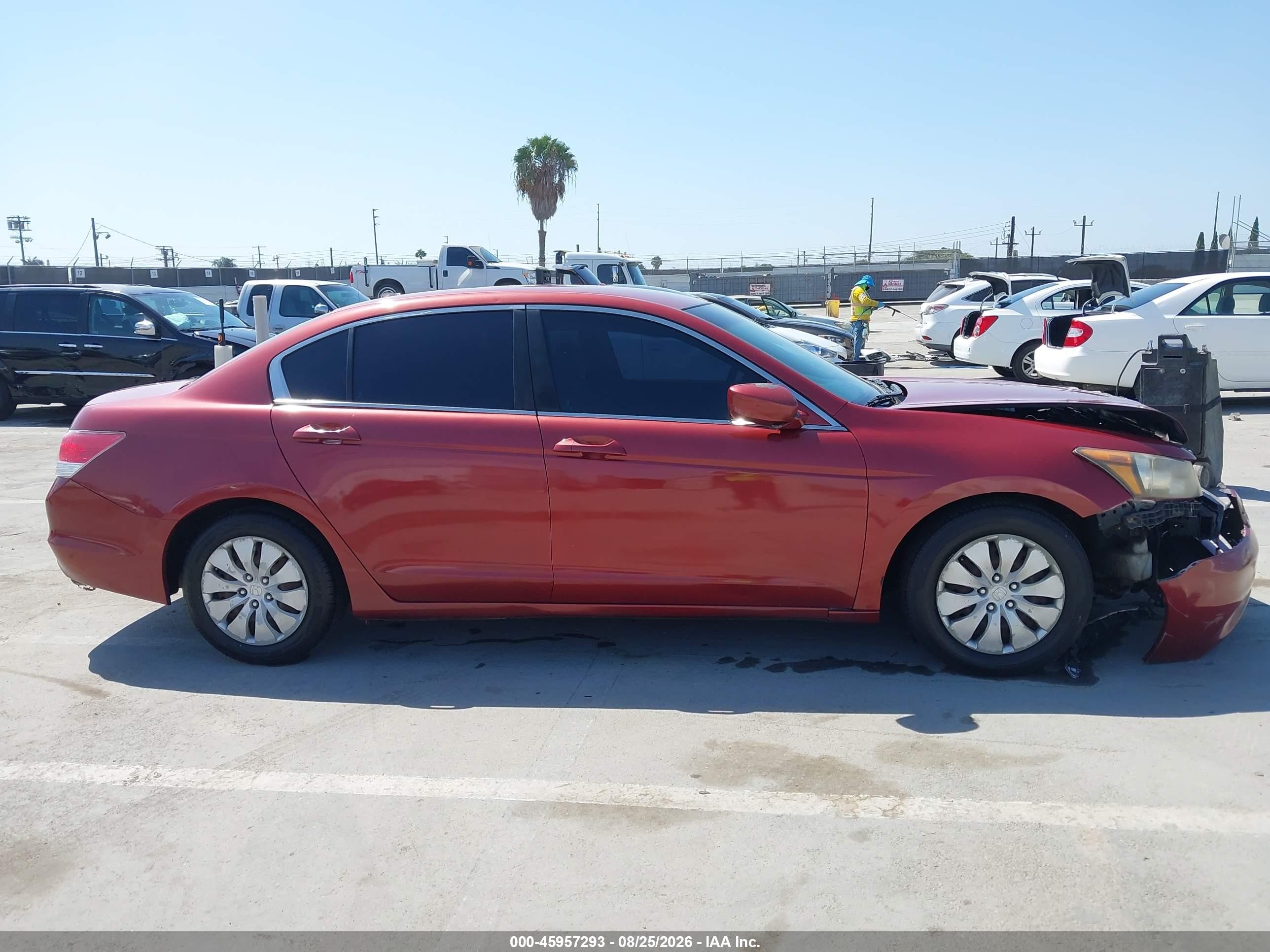 2011 Honda Accord 2.4 Lx Red vin: 1HGCP2F38BA017374