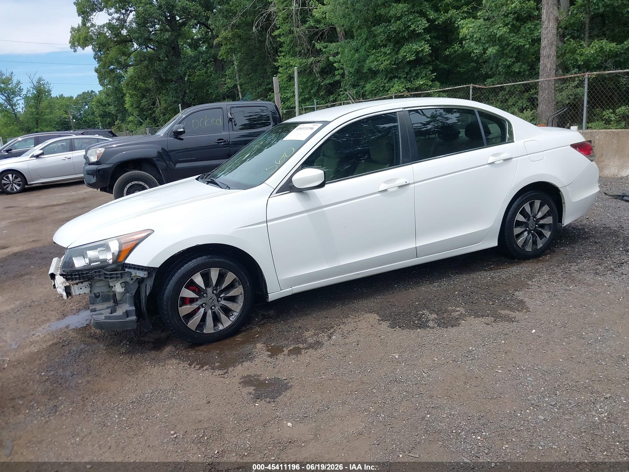 2012 Honda Accord 2.4 Lx White vin: 1HGCP2F38CA089841