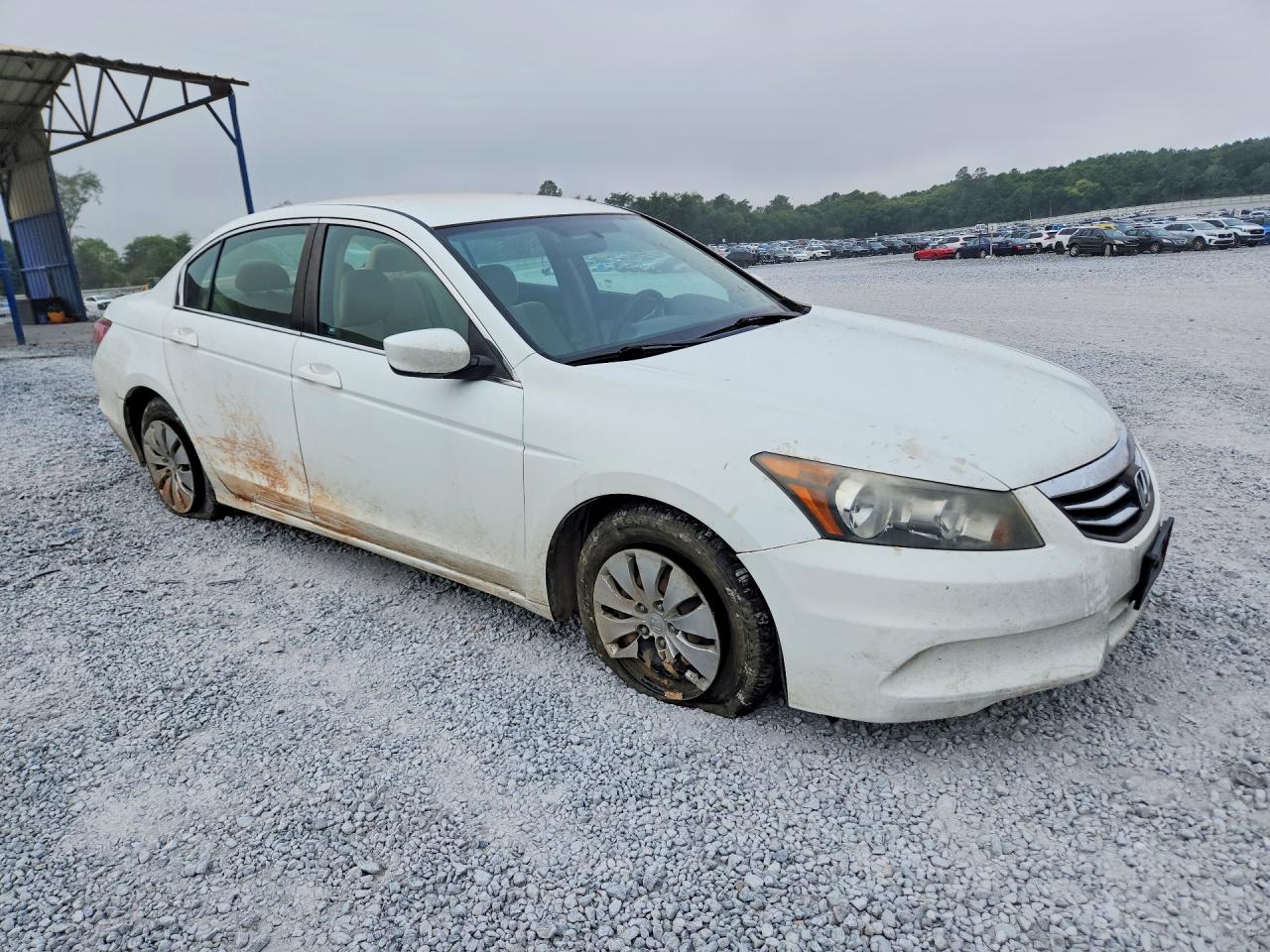 2012 Honda Accord Lx Белый vin: 1HGCP2F38CA123003