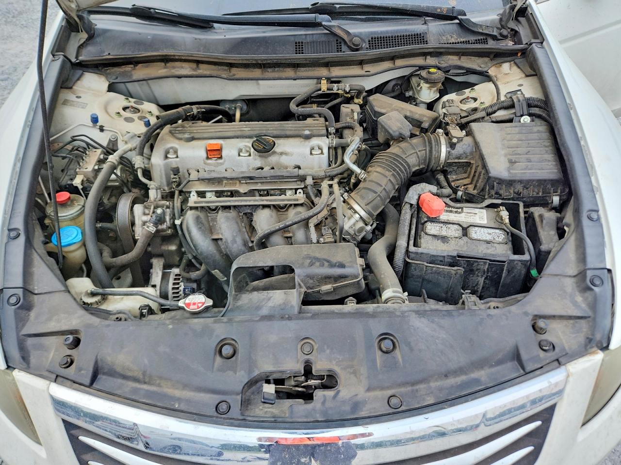 2012 Honda Accord Lx Белый vin: 1HGCP2F38CA123003