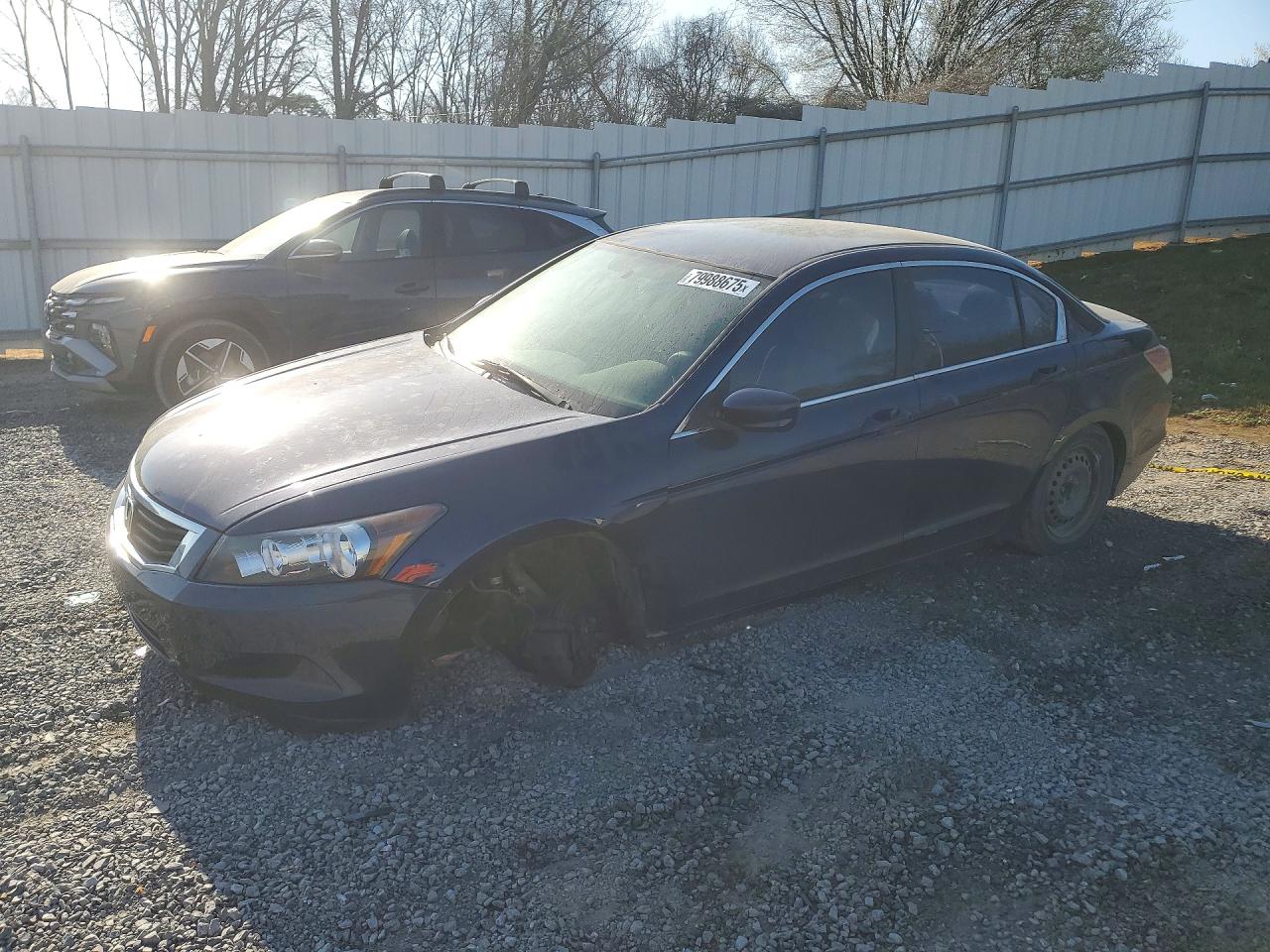 2010 Honda Accord Lx Blue vin: 1HGCP2F39AA128367