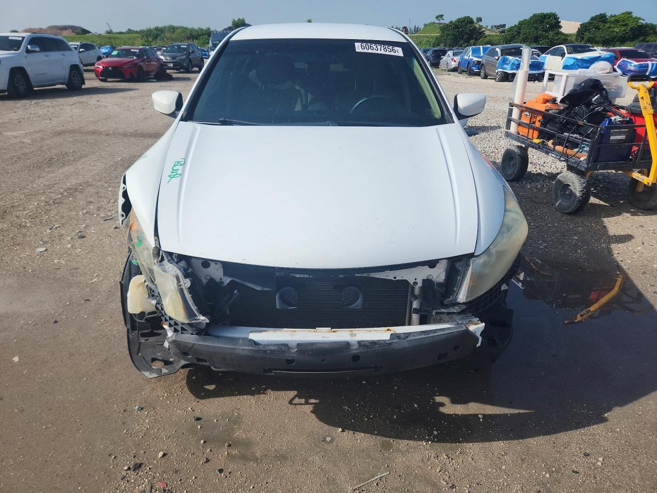 2011 Honda Accord Lx White vin: 1HGCP2F39BA014872
