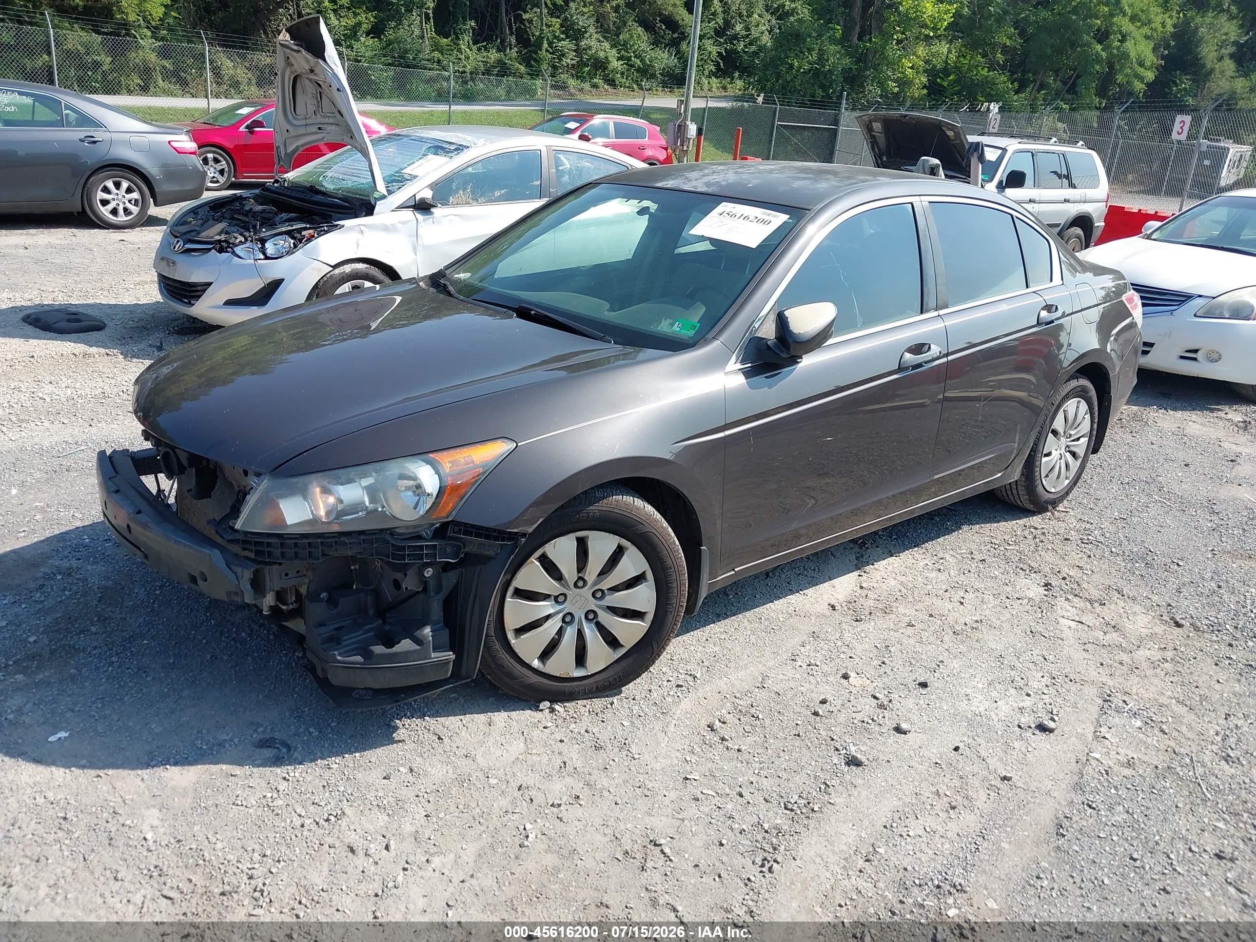 2011 Honda Accord 2.4 Lx Purple vin: 1HGCP2F39BA024883