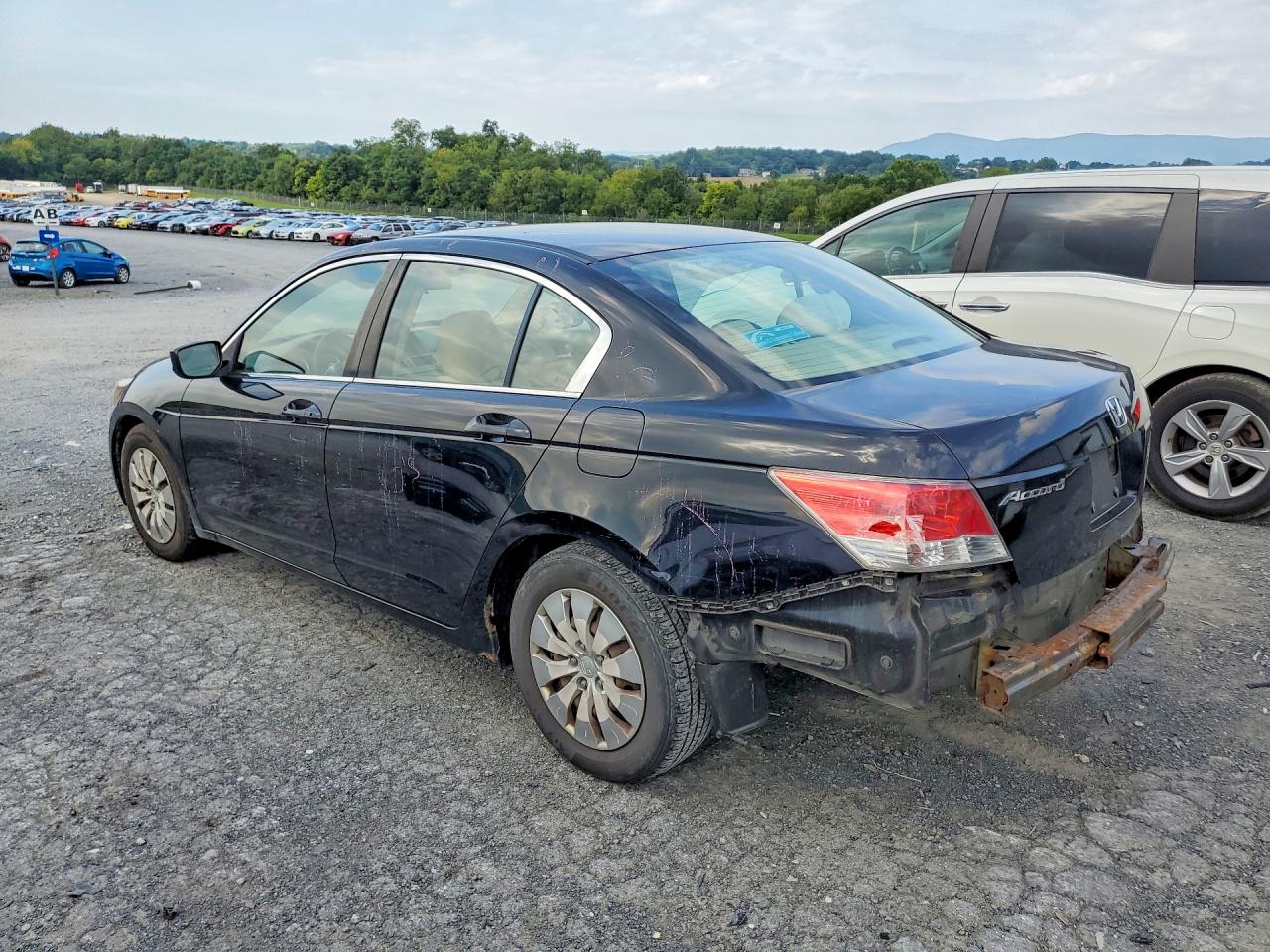2010 Honda Accord Lx Black vin: 1HGCP2F3XAA093645
