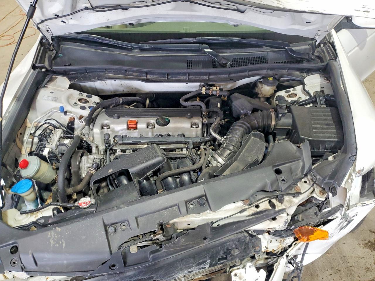 2010 Honda Accord Lx White vin: 1HGCP2F3XAA131469