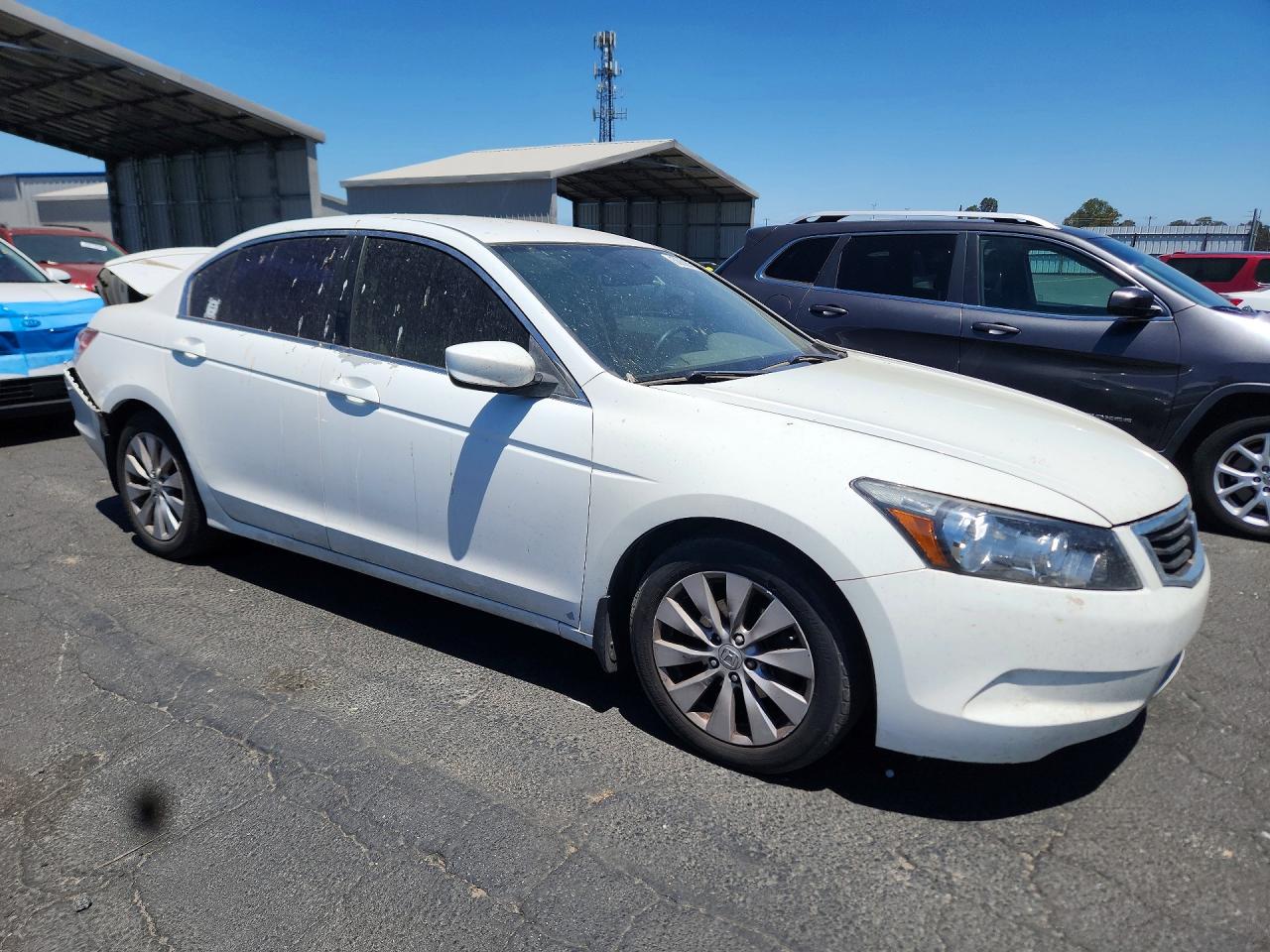 2010 Honda Accord Lx Белый vin: 1HGCP2F3XAA197147