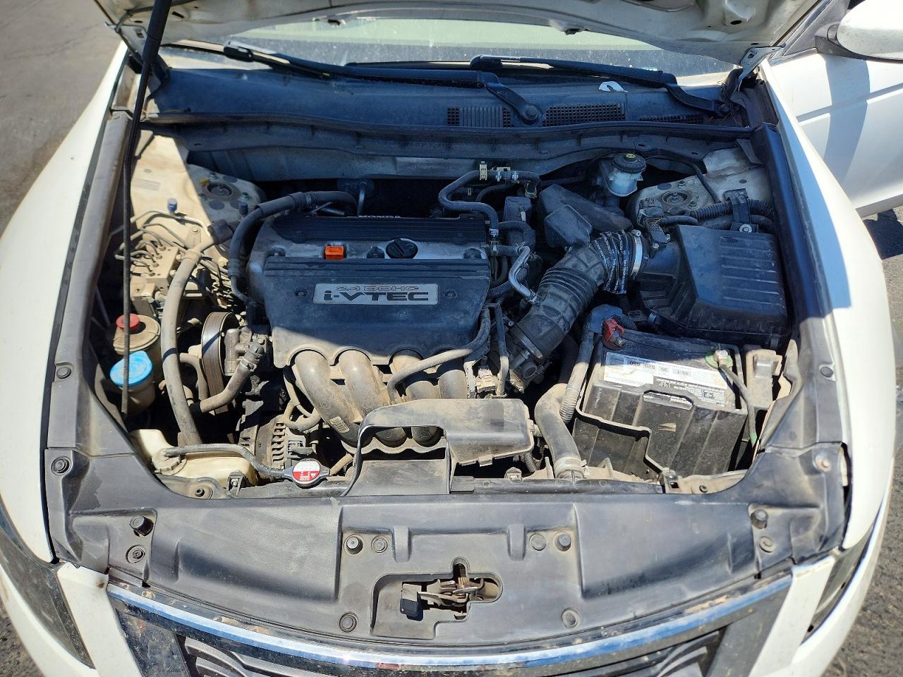 2010 Honda Accord Lx Белый vin: 1HGCP2F3XAA197147