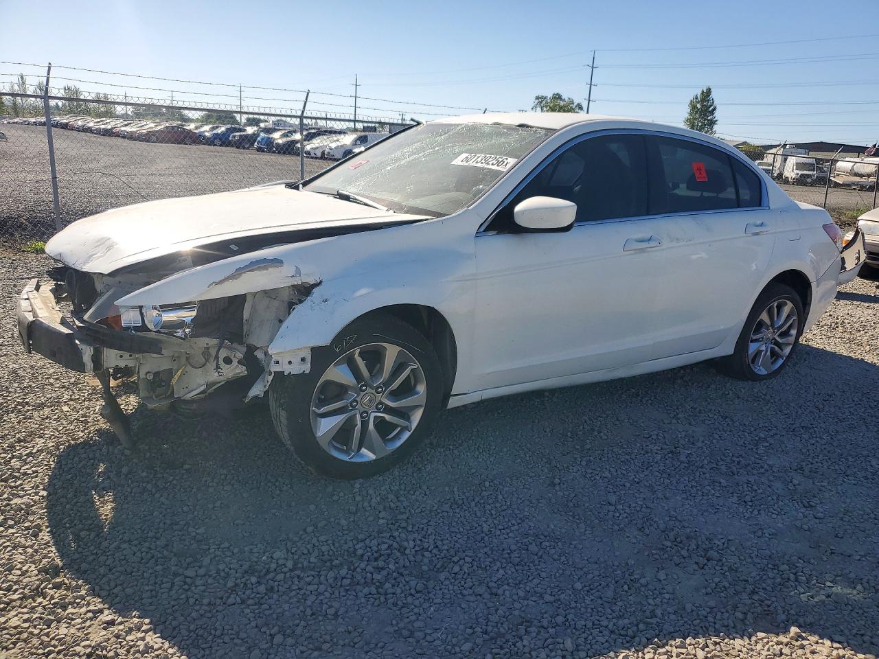 2012 Honda Accord Lx Белый vin: 1HGCP2F3XCA012646