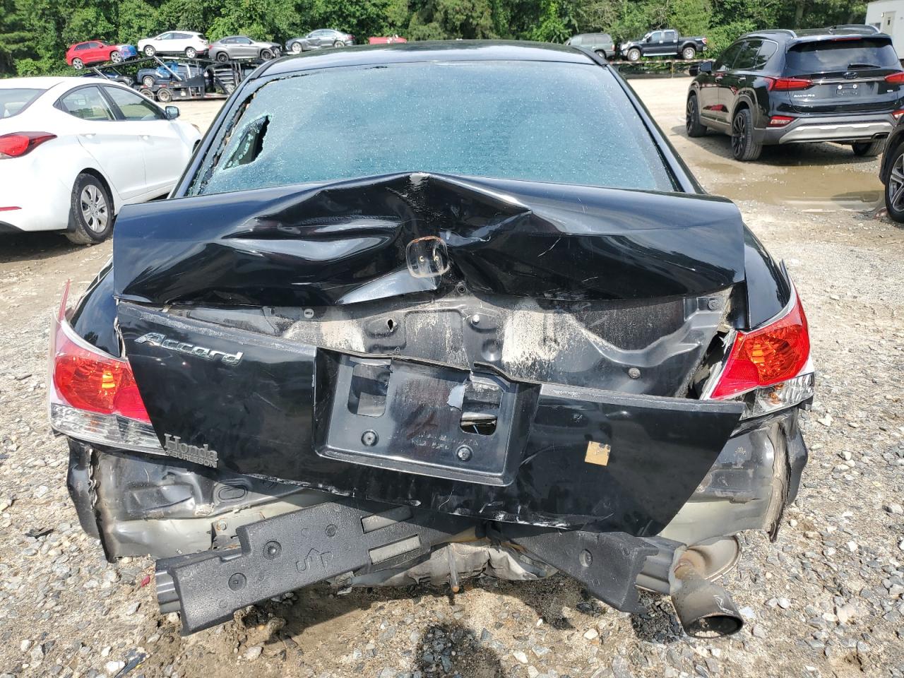 2010 Honda Accord Lxp Black vin: 1HGCP2F40AA148239