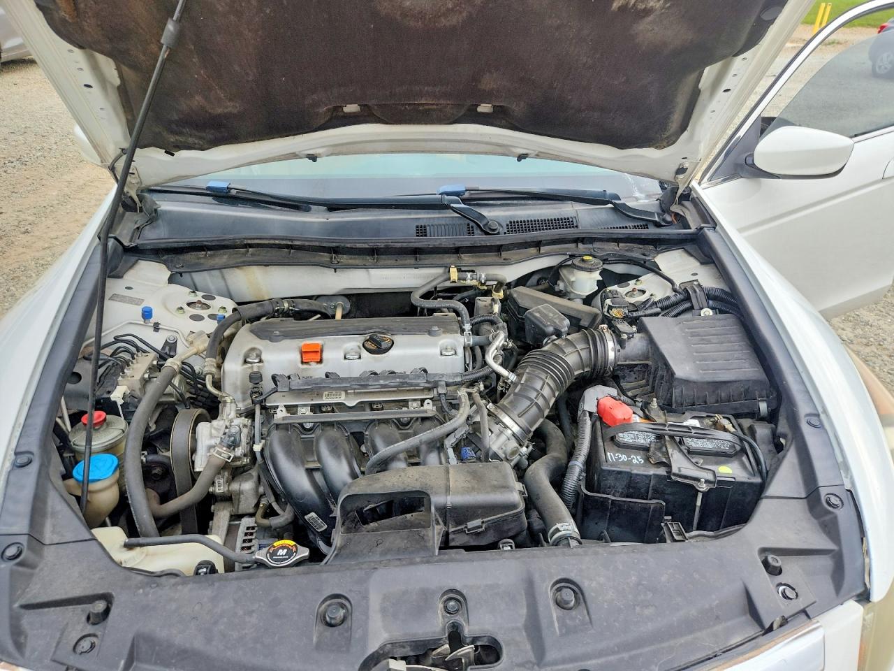 2012 Honda Accord Lxp Белый vin: 1HGCP2F40CA088739