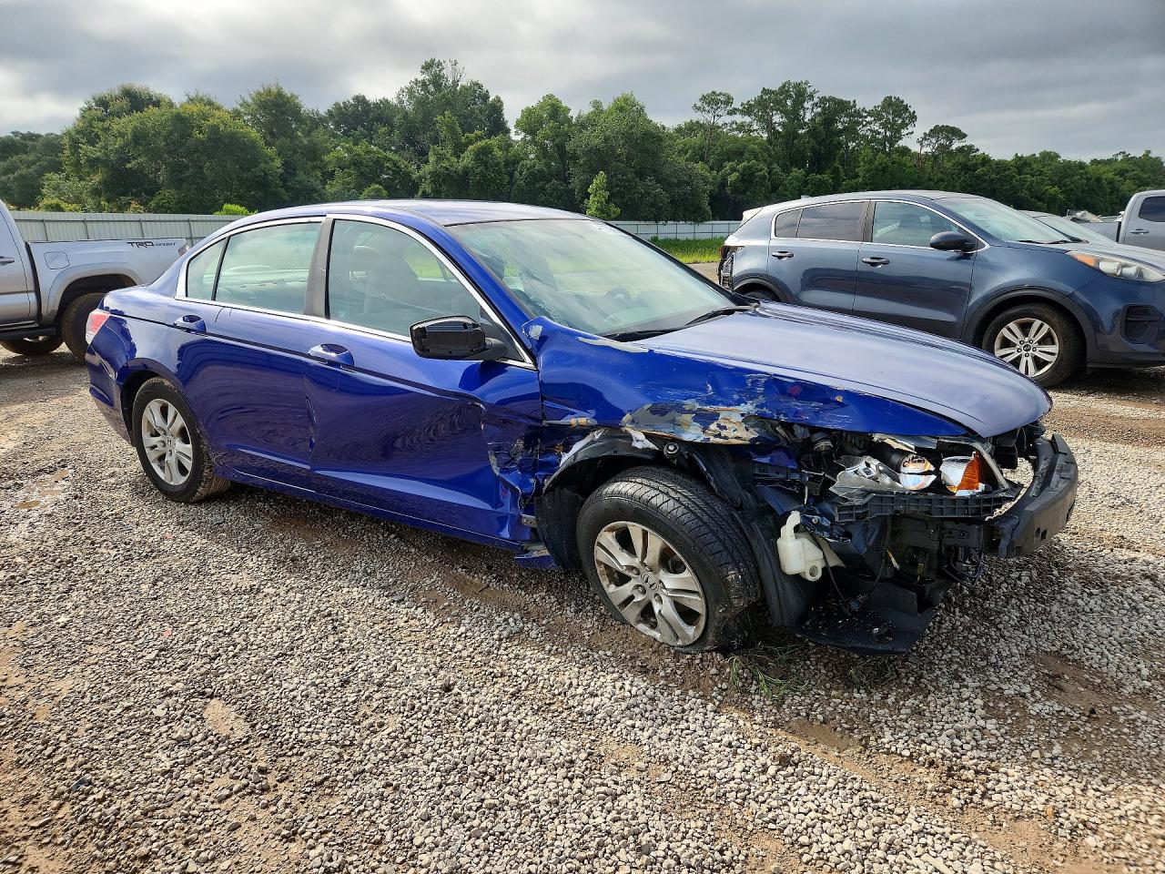 2010 Honda Accord Lxp Blue vin: 1HGCP2F41AA061305