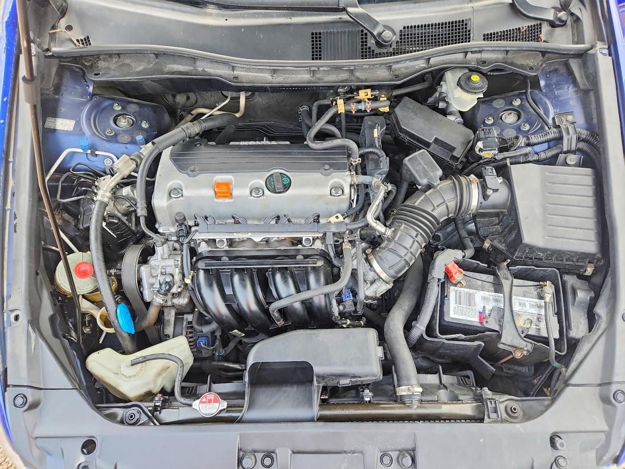 2010 Honda Accord Lxp Blue vin: 1HGCP2F41AA061305