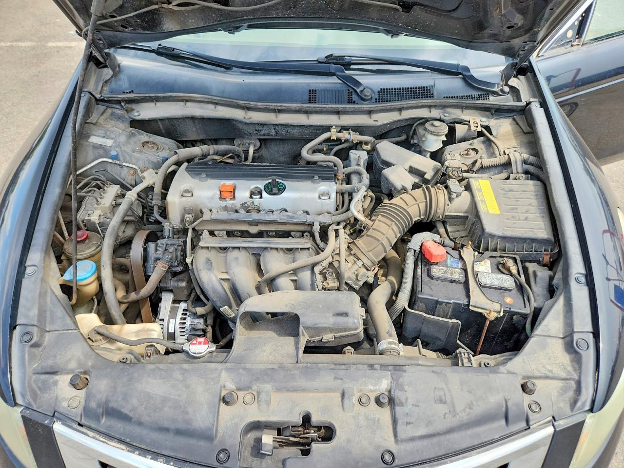 2010 Honda Accord Lxp Black vin: 1HGCP2F41AA072286