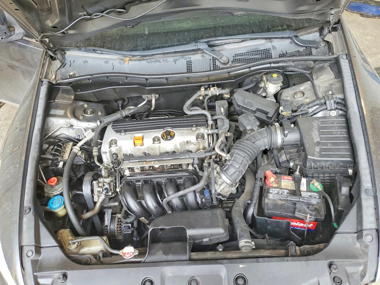 2011 Honda Accord Lxp Gray vin: 1HGCP2F41BA022358