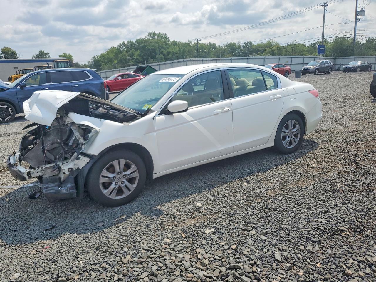 2011 Honda Accord Lxp White vin: 1HGCP2F41BA039970