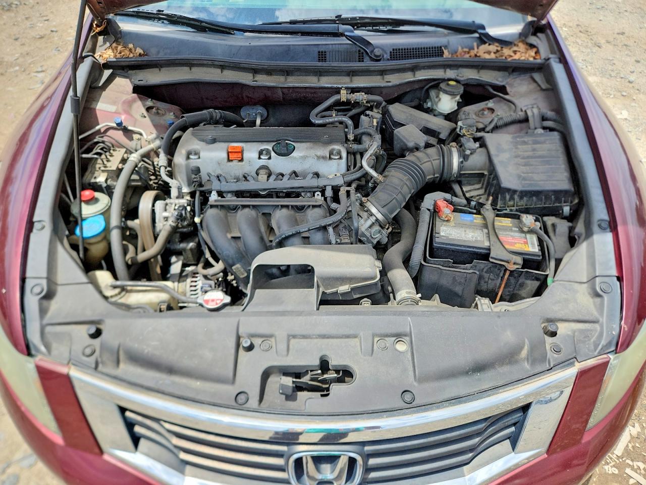 2010 Honda Accord Lxp Burgundy vin: 1HGCP2F42AA097682