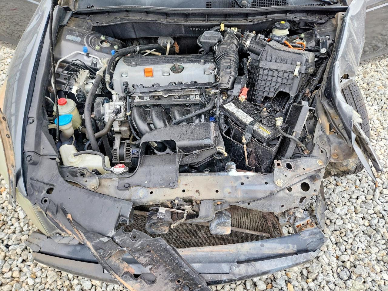 2010 Honda Accord Lxp Gray vin: 1HGCP2F42AA131202