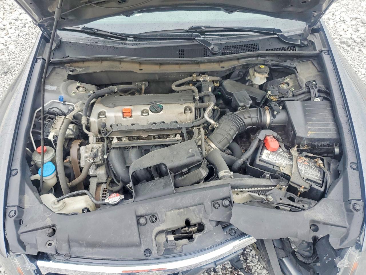 2010 Honda Accord Lxp Gray vin: 1HGCP2F42AA182375