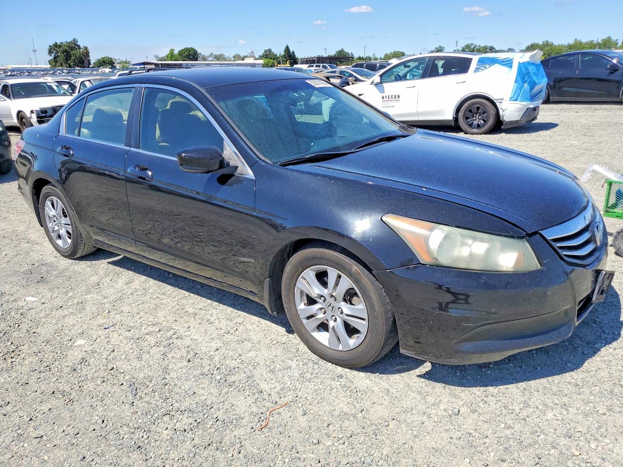 2011 Honda Accord Lxp Black vin: 1HGCP2F42BA037418