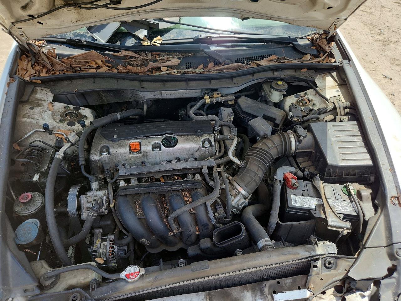 2010 Honda Accord Lxp White vin: 1HGCP2F43AA029018