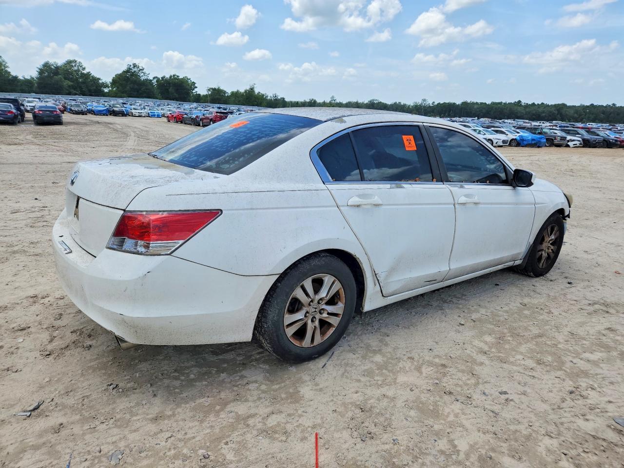 2010 Honda Accord Lxp White vin: 1HGCP2F43AA029018