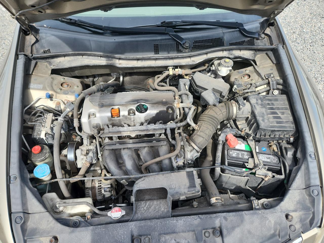 2010 Honda Accord Lxp Gold vin: 1HGCP2F43AA134156