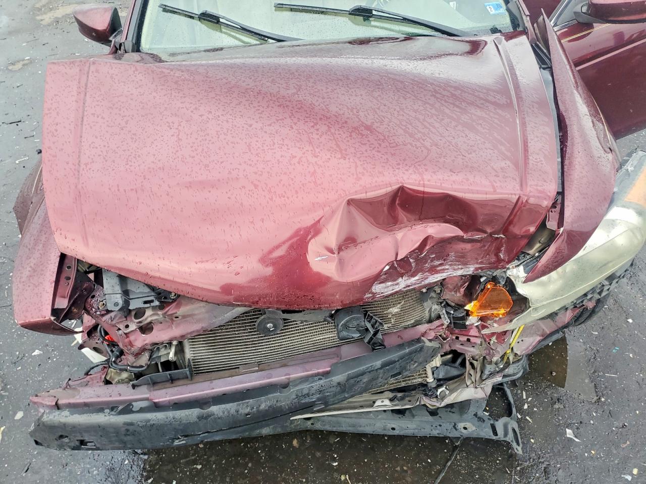 2010 Honda Accord Lxp Red vin: 1HGCP2F43AA191506