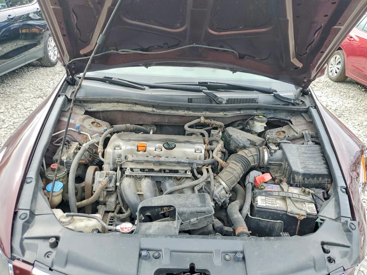 2010 Honda Accord Lxp Burgundy vin: 1HGCP2F44AA056535